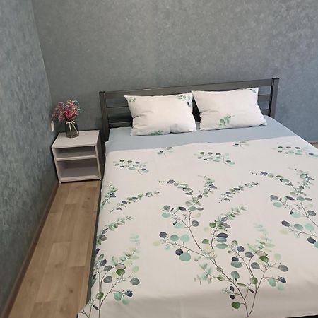 Две Уютные Квартиры В Центре Города Дзержинка - New Apartments Kryvyj Rih Esterno foto