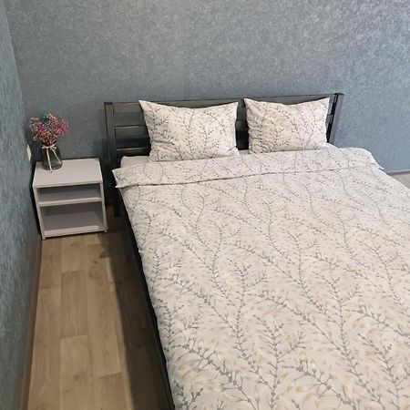 Две Уютные Квартиры В Центре Города Дзержинка - New Apartments Kryvyj Rih Esterno foto