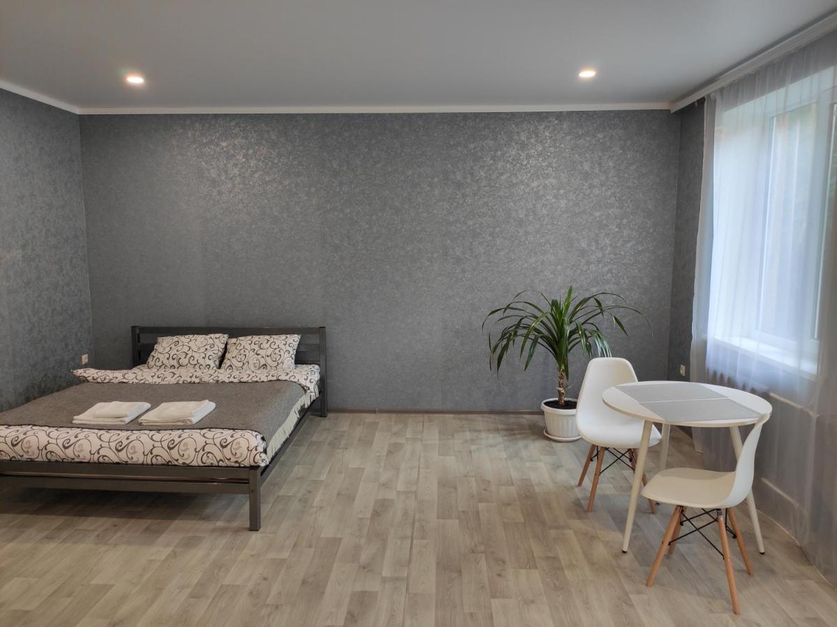Две Уютные Квартиры В Центре Города Дзержинка - New Apartments Kryvyj Rih Esterno foto