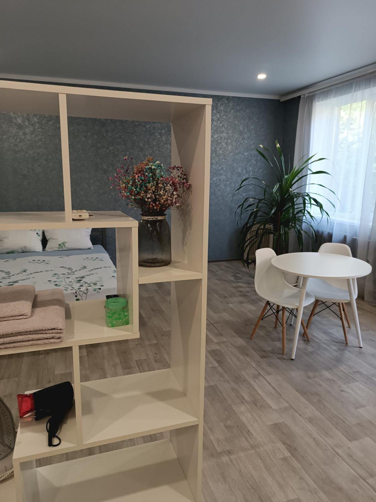 Две Уютные Квартиры В Центре Города Дзержинка - New Apartments Kryvyj Rih Esterno foto